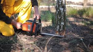 Mulching Services in Brownfield, TX